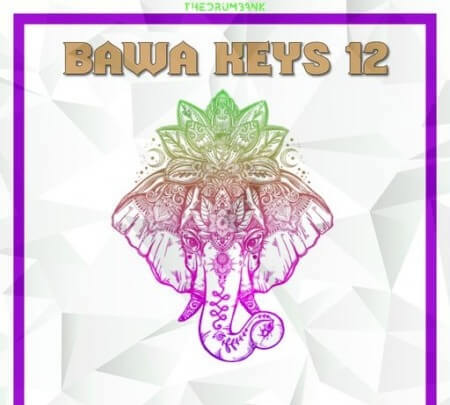 Dynasty Loops Bawa Keys 12 WAV